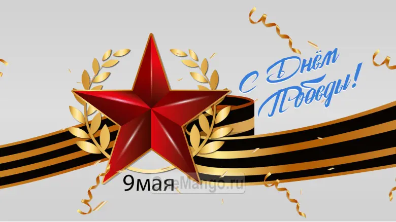 Занавес день победы 061