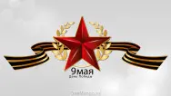 Занавес день победы 062