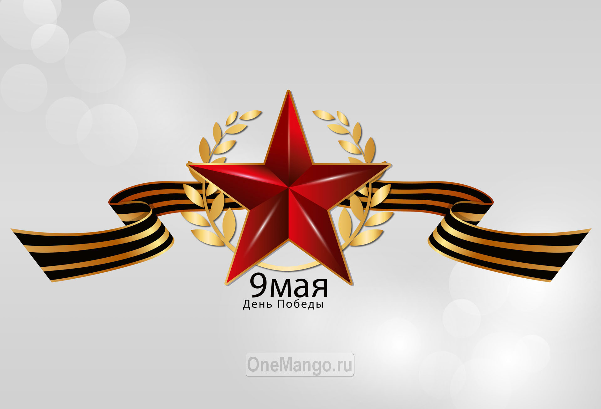 Занавес день победы 062