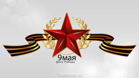 Занавес день победы 062