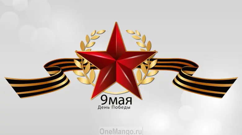 Занавес день победы 062