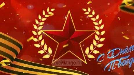 Занавес день победы 063