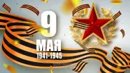Занавес день победы 065