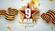Занавес день победы 066