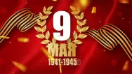 Занавес день победы 067