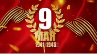 Занавес день победы 067