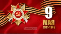 Занавес день победы 069
