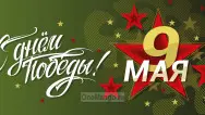 Занавес день победы 072