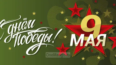 Занавес день победы 072