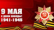 Занавес день победы 073