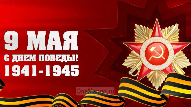 Занавес день победы 073