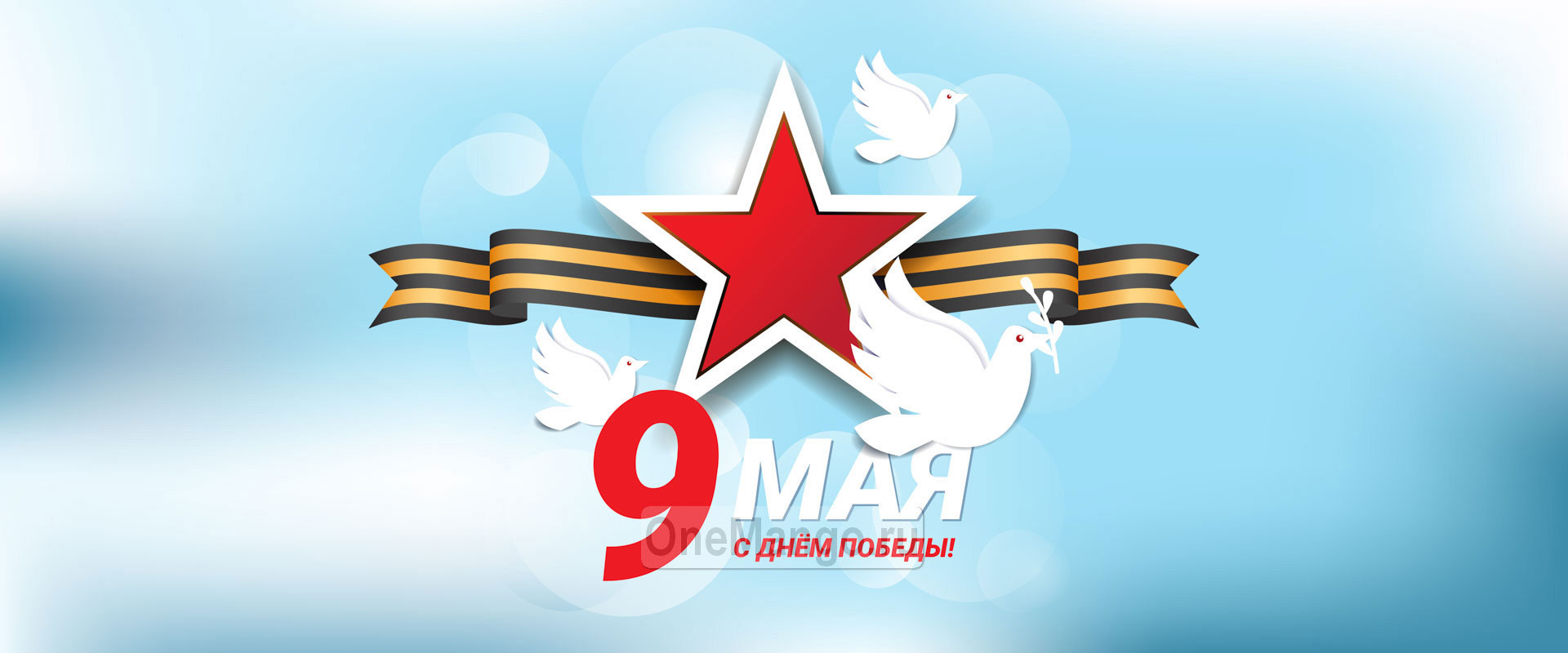 Занавес день победы 074