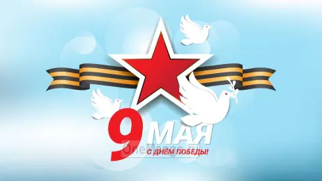 Занавес день победы 074