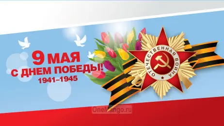 Занавес день победы 076