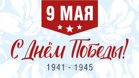 Занавес день победы 077