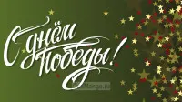 Занавес день победы 078