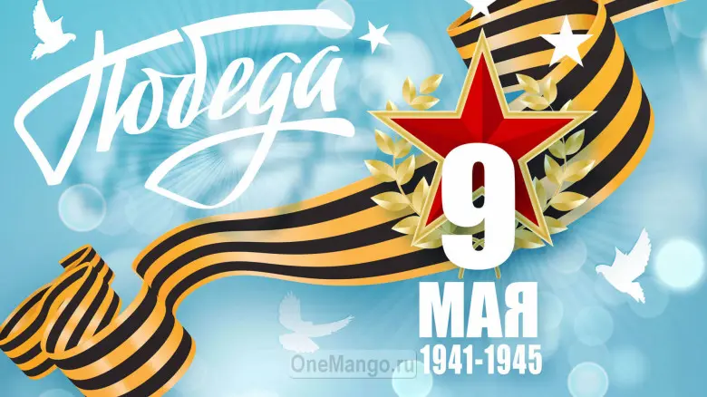 Занавес день победы 079