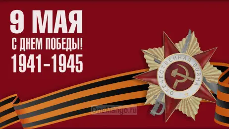 Занавес день победы 080