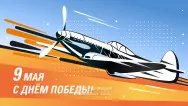 Занавес день победы 081