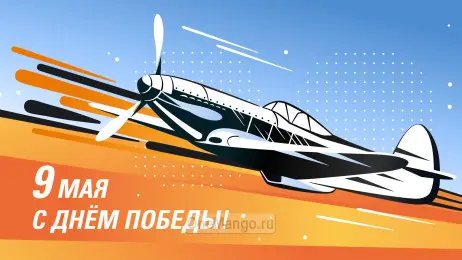 Занавес день победы 081
