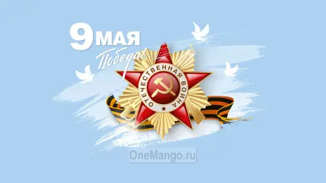 Занавес день победы 082