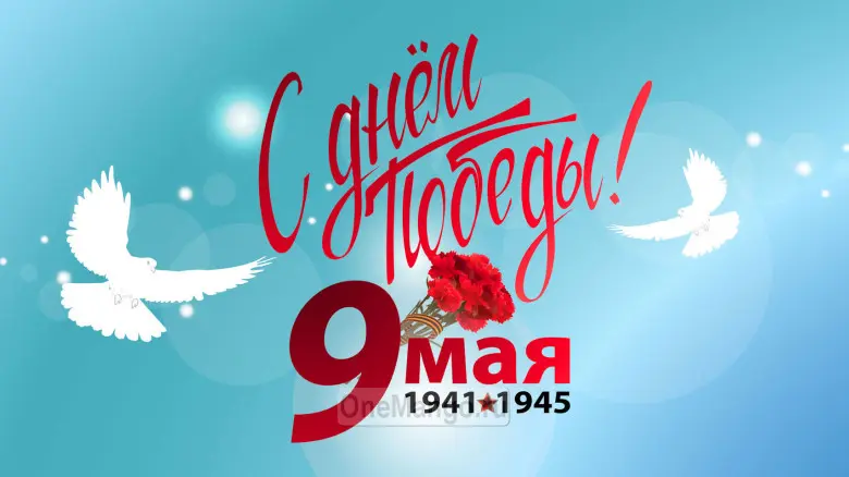 Занавес день победы 084