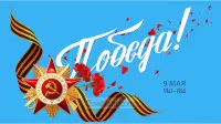 Занавес день победы 087