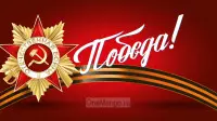 Занавес день победы 089