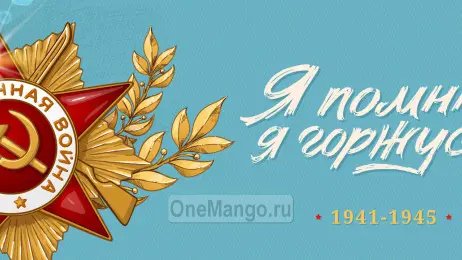 Занавес день победы 092