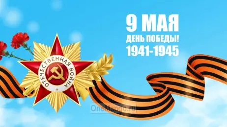 Занавес день победы 094