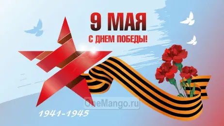 Занавес день победы 095