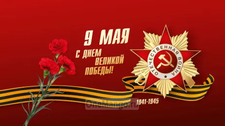 Занавес день победы 098