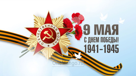 Занавес день победы 099