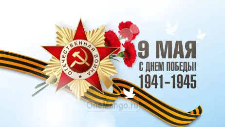 Занавес день победы 099