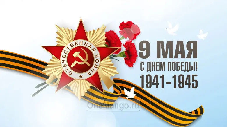 Занавес день победы 099