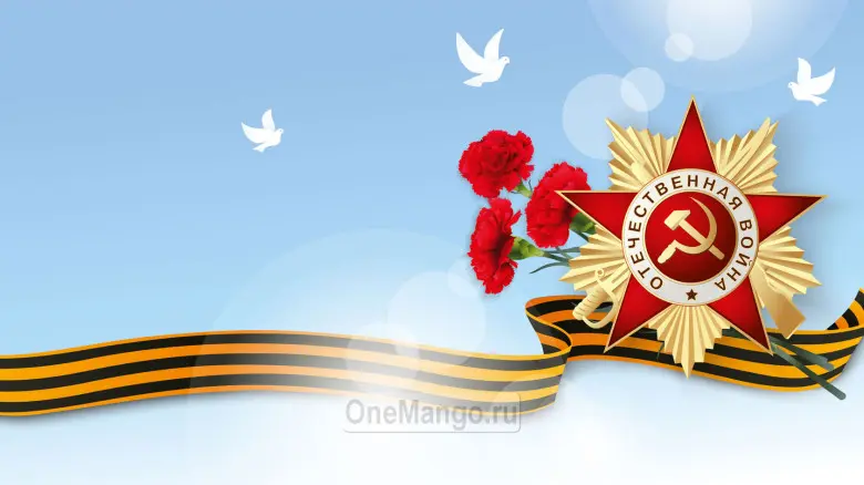 Занавес день победы 101