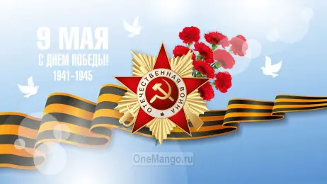 Занавес день победы 107