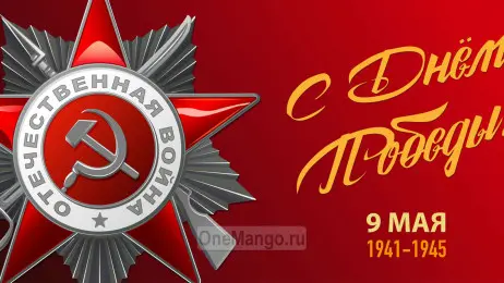 Занавес день победы 110