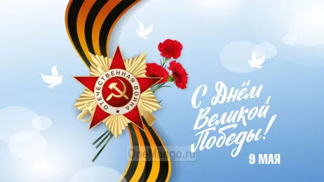 Занавес день победы 111