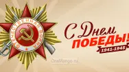 Занавес день победы 112