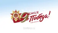 Занавес день победы 120