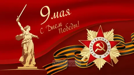 Занавес день победы 121