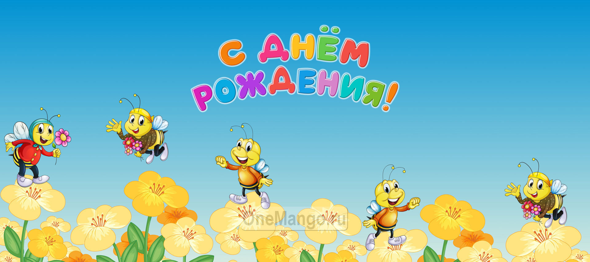 Занавес день рождения 004