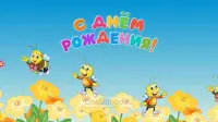 Занавес день рождения 004