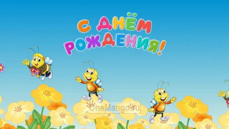 Занавес день рождения 004