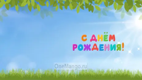 Занавес день рождения 026