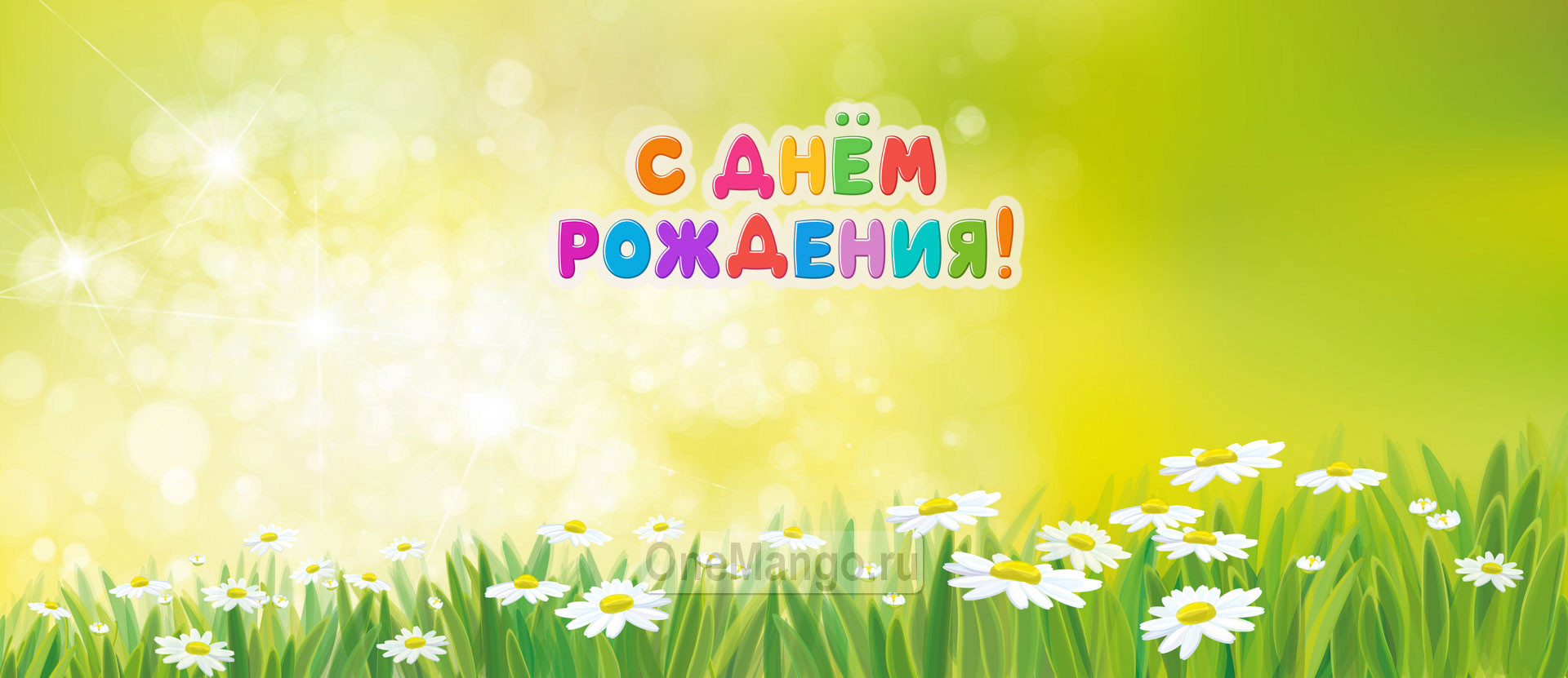 Занавес день рождения 044