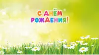 Занавес день рождения 044