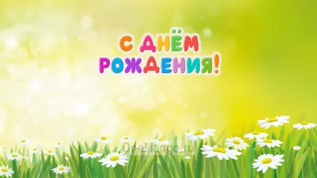 Занавес день рождения 044