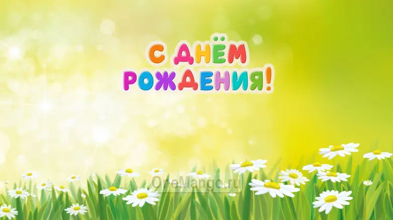 Занавес день рождения 044